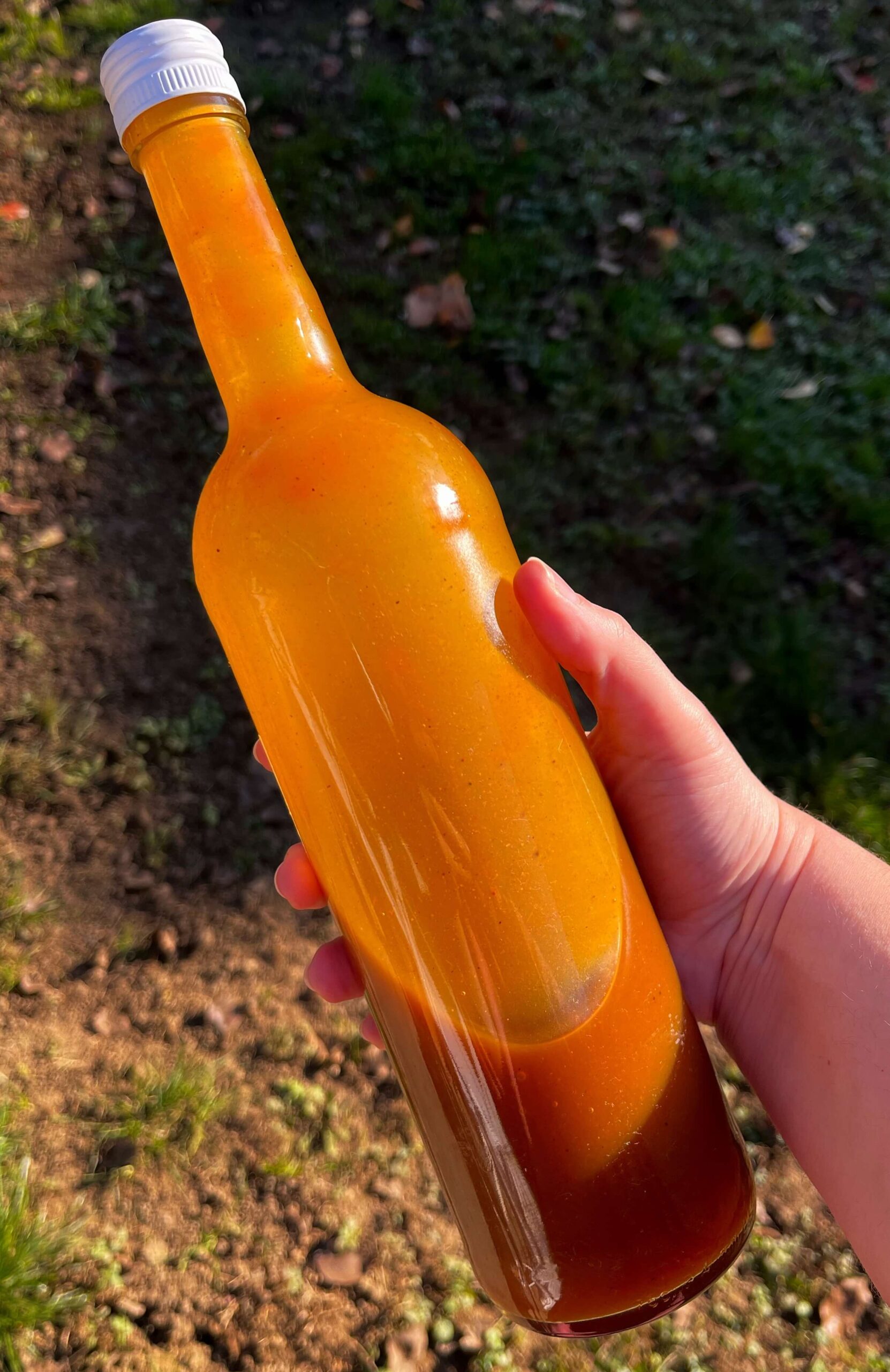 pumpkin spice szirup üvegben